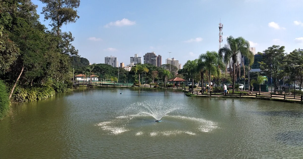 Como empresas de Guarulhos podem dominar buscas locais sem depender da capital